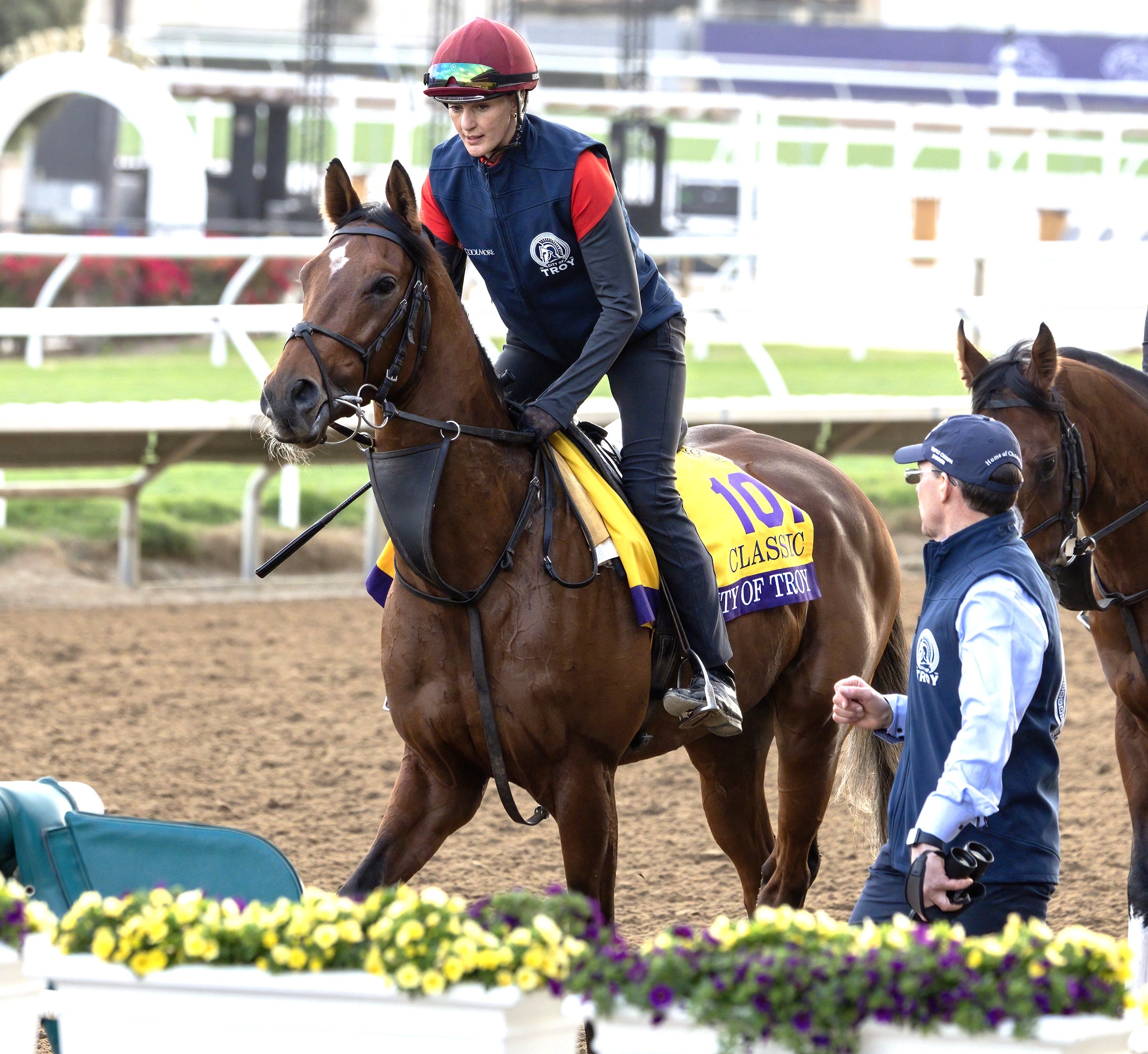 Breeders' Cup Classic: O'Brien has won nearly all of them, but not